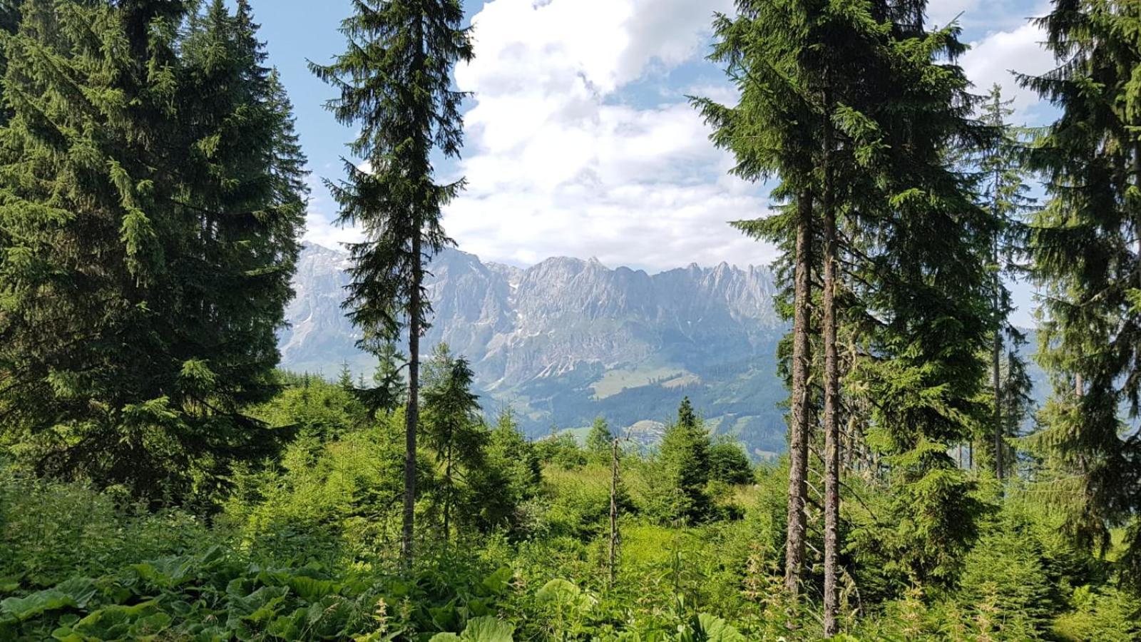 Appartementhaus Goldnugget Schwarzach im Pongau Exterior foto